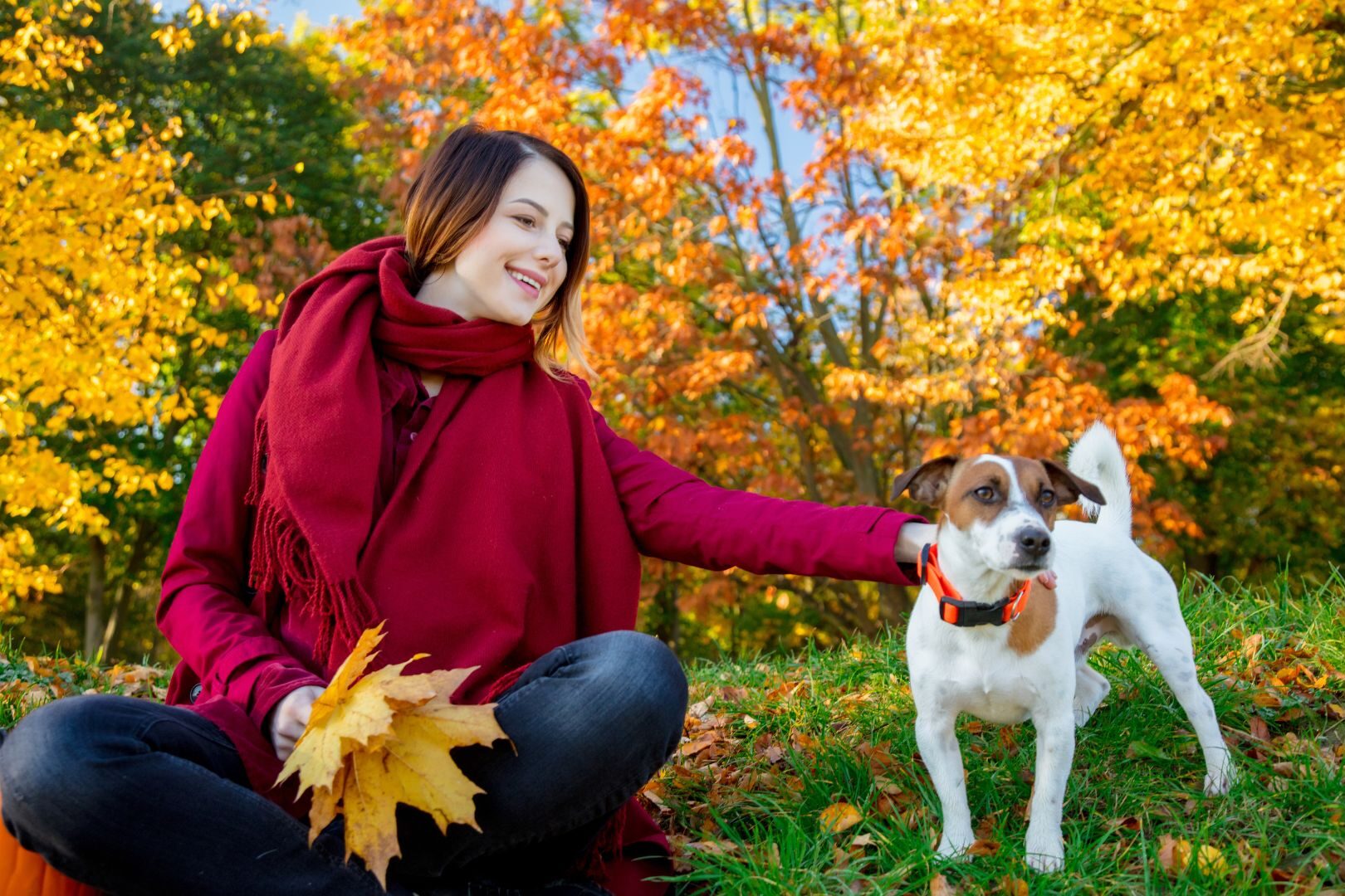 Immunsystem natürlich stärken: Die besten Tipps für den Herbst